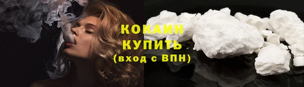 индика Баксан