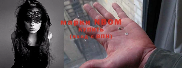 индика Баксан