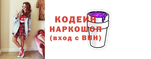 индика Баксан