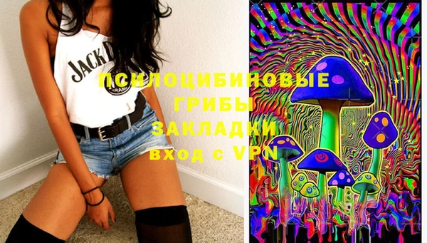 индика Баксан