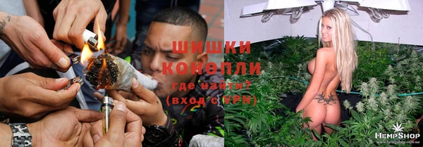 индика Баксан